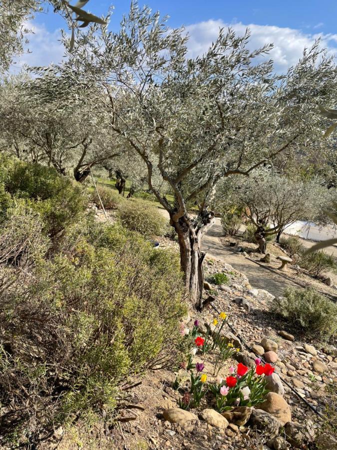 Gite La Maison Dans L'Olivette Villa Oraison Eksteriør billede