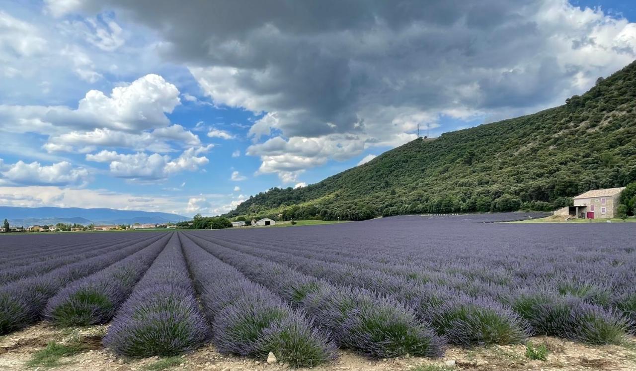 Gite La Maison Dans L'Olivette Oraison Eksteriør billede